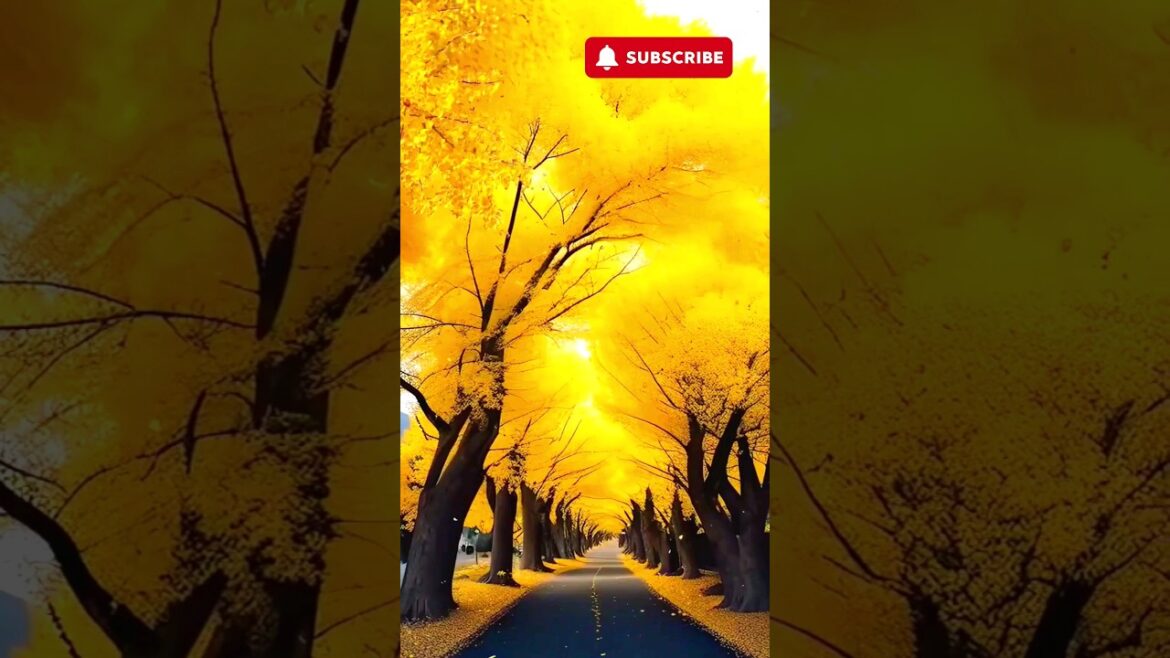 Places in Japan that don't feel real 🤯 #explore #travel #shorts #japan