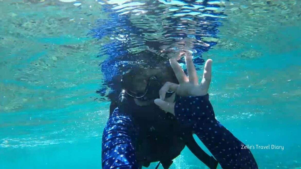 Blue Cave in Okinawa!