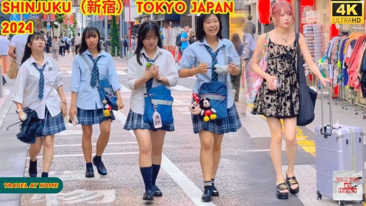 4k hdr japan travel 2024 | Walk in Shinjuku(新宿)Tokyo Japan | Relaxing Natural City ambience 4k hdr japan travel 2024 | Walk in Shinjuku(新宿)Tokyo Japan | Relaxing Natural City ambience