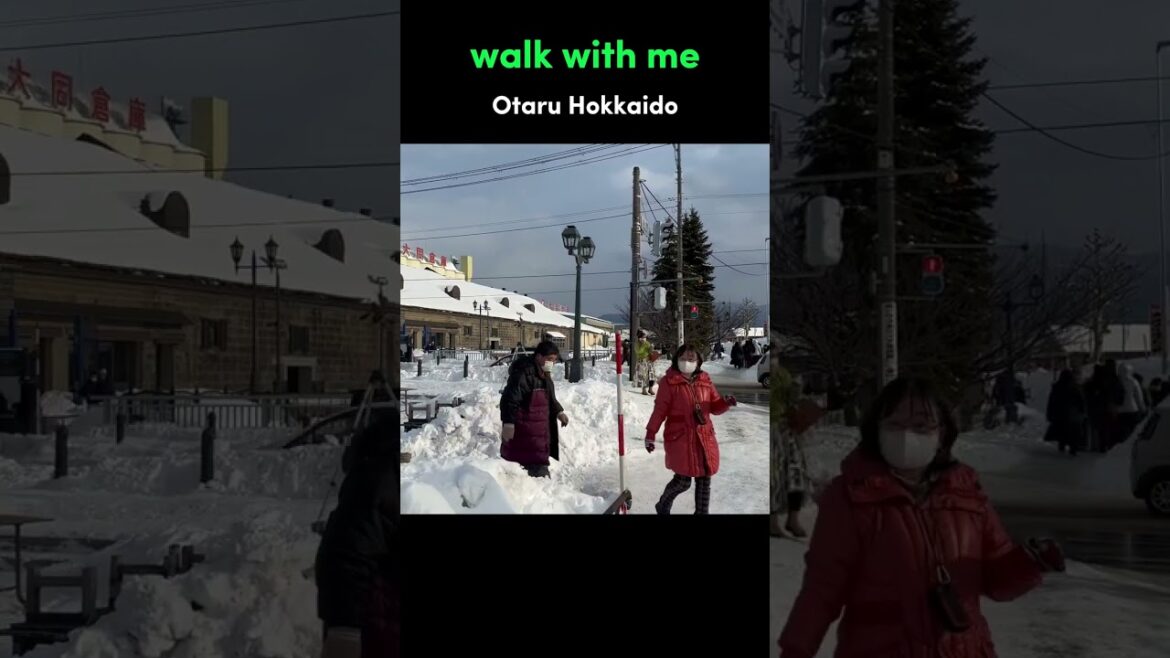 Walk With Me in Otaru Hokkaido | Japan Walking Tour