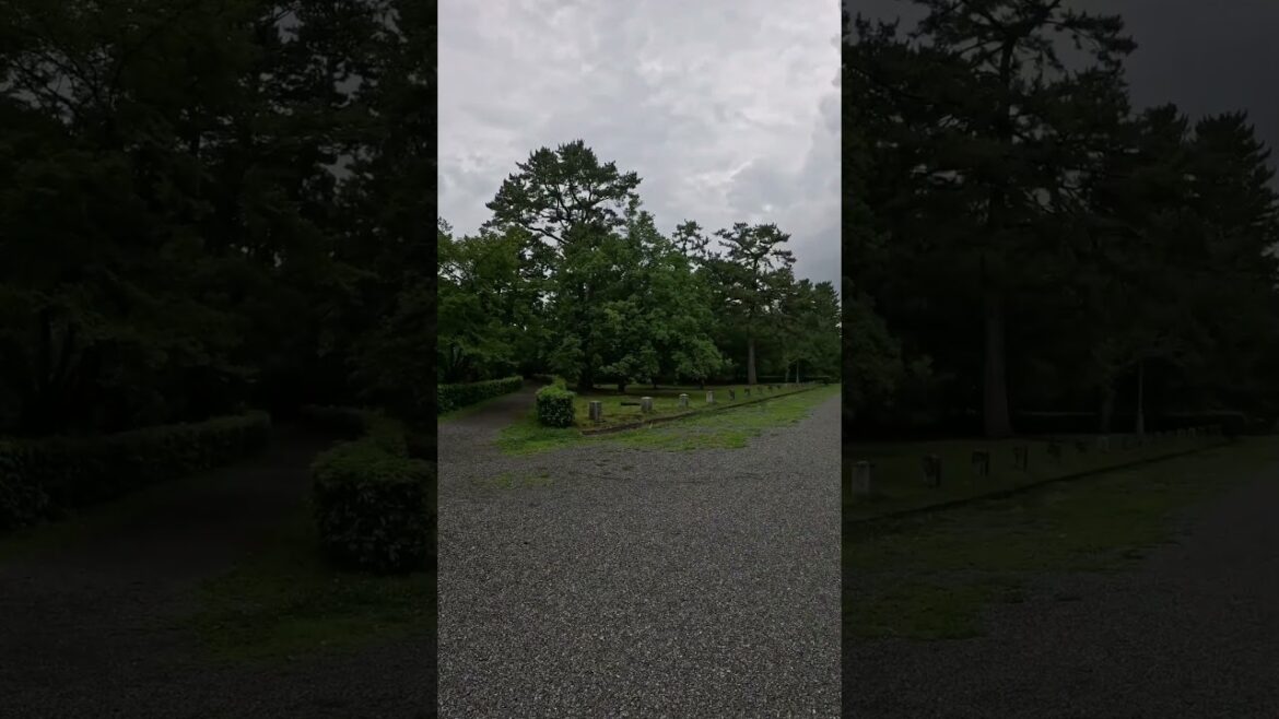 【KYOTO】Must-See Quiet &Big Tourist Attraction - Kyoto Gyoen