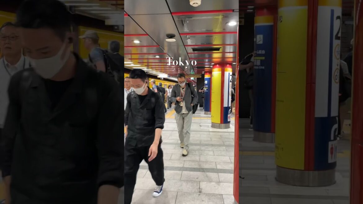 Tokyo train station #japan #travel #explorekyoto #japaneserailwaystation #trainspotting #train