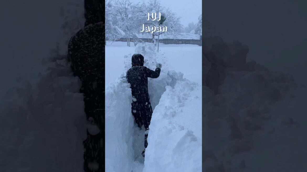 Snow Tunnel at IUJ #japan