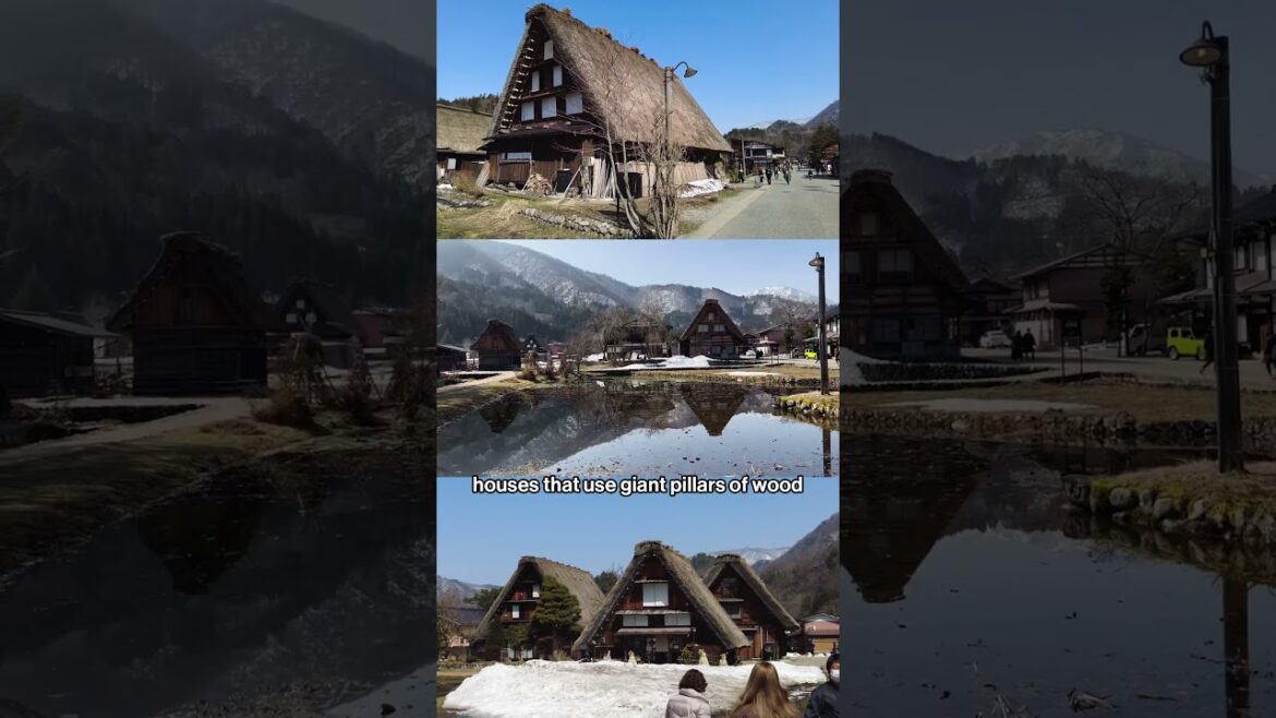 Only 1500 people live here, Hidden village in Japan #shorts #japantravel #japanesefood #japan Only 1500 people live here, Hidden village in Japan #shorts #japantravel #japanesefood #japan