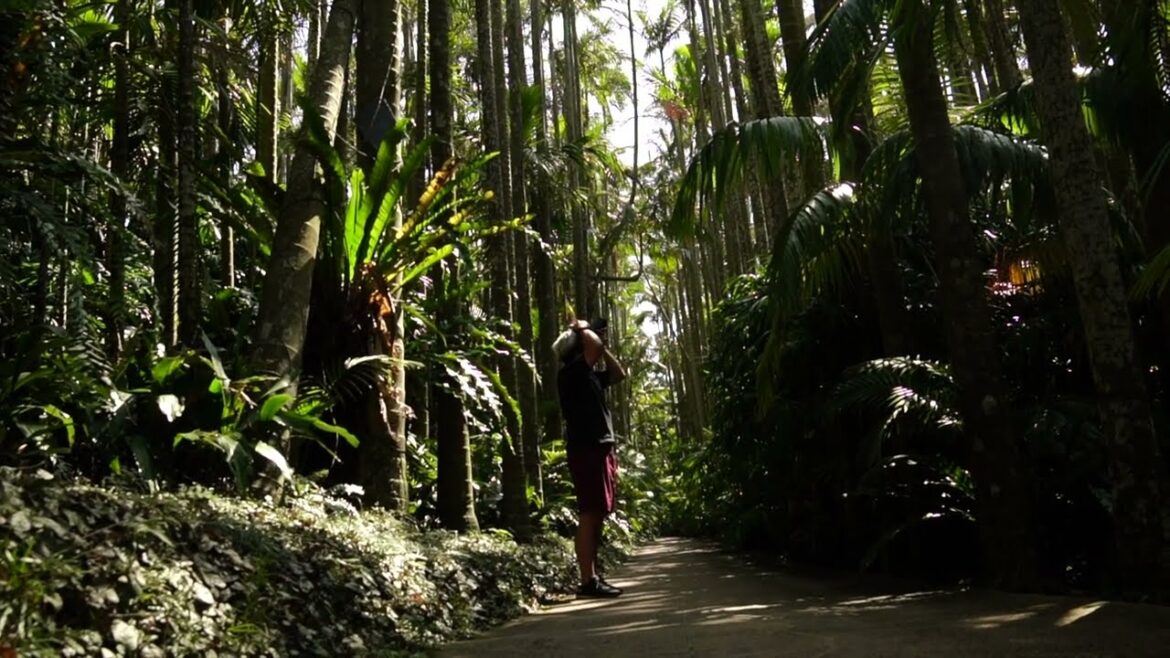 SOUTHEAST BOTANICAL GARDENS - OKINAWA