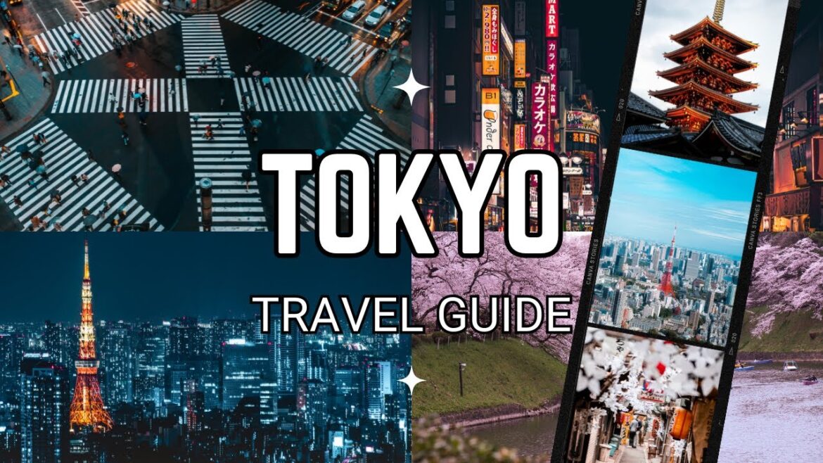 Best Things To Do in Tokyo Japan 2024 | Tokyo Travel Guide