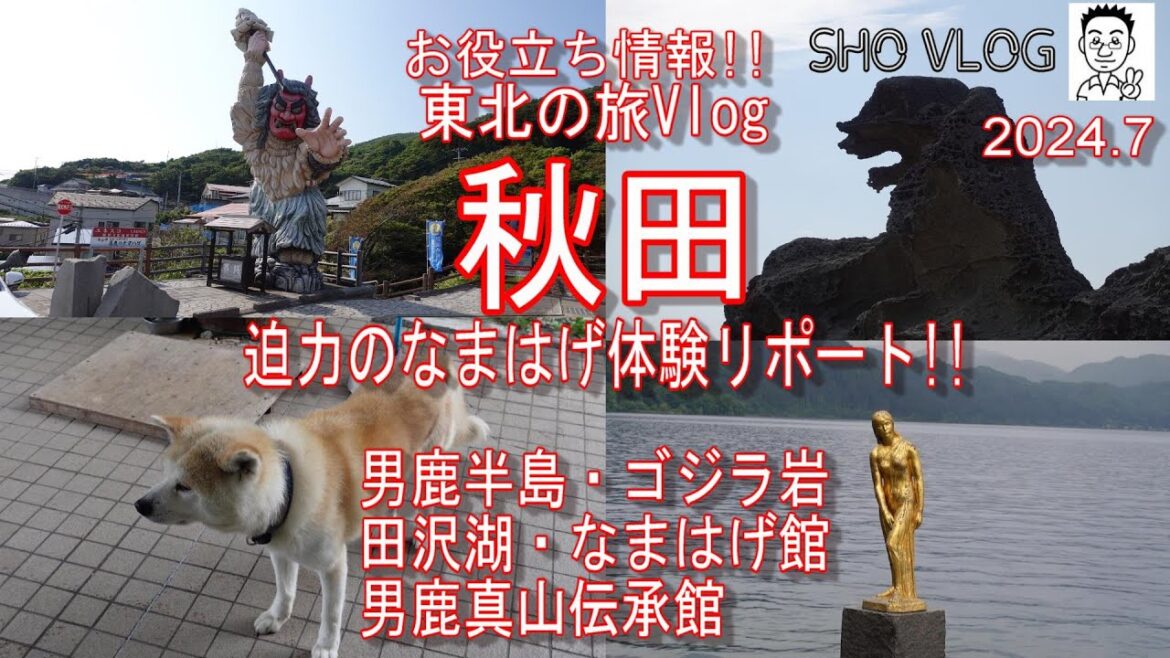 [必見!お役立ちvlog秋田]男鹿半島、角館、田沢湖に行きました。なまはげ体験ができる男鹿真山伝承館が最大の見どころ。角館の歴史ある美しい通り。たつこ像、ゴジラ岩も見どころです。秋田犬にも会えました。
