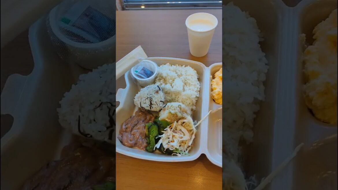 Travel Japan | I was served the halal and safe ingredients choices by the server | Tq for helping me