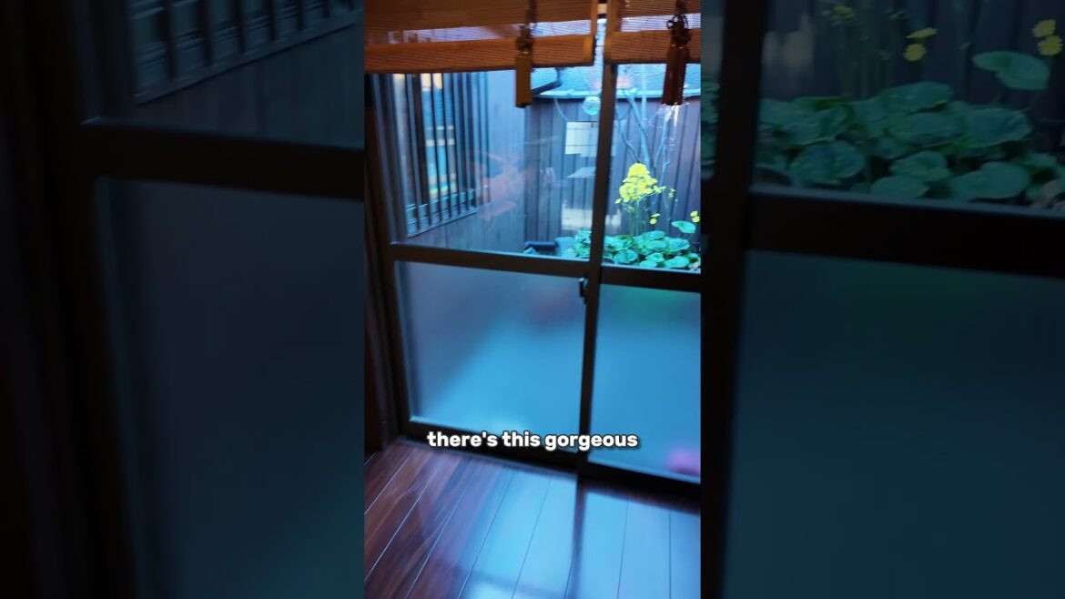 🇯🇵🫨 CHEAP Traditional House Osaka Rental #travel #japan #japanhotels 🇯🇵🫨 CHEAP Traditional House Osaka Rental #travel #japan #japanhotels