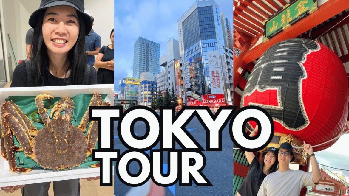 We tried the No.1 top rated Tokyo FOOD tour on Airbnb Experiences! Tuna auction, Tsukiji, Asakusa
