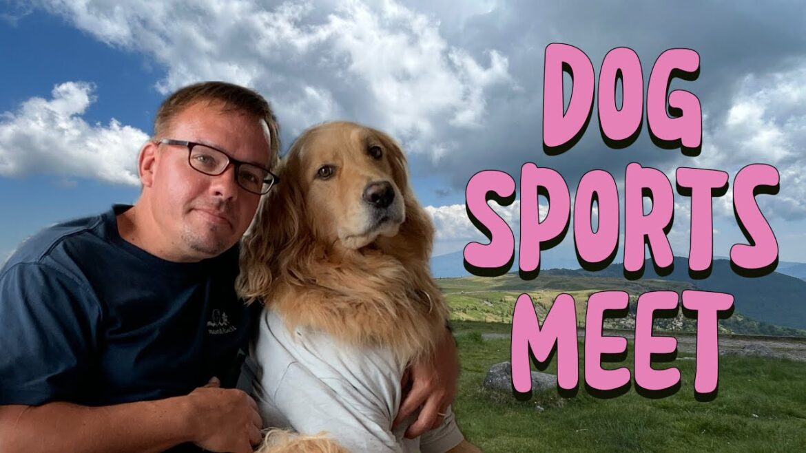 Get Ready For Some Tail-wagging Fun At The Nagano Dog Sports Day!