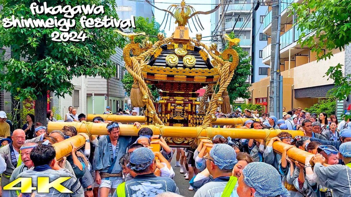 どデカい!6年ぶりの宮神輿です! 深川神明宮例大祭 宮神輿巡幸 2024 Fukagawa Shinmeigu Festival 森下2丁目スペシャル!日本の祭り 4K どデカい!6年ぶりの宮神輿です! 深川神明宮例大祭 宮神輿巡幸 2024 Fukagawa Shinmeigu Festival 森下2丁目スペシャル!日本の祭り 4K