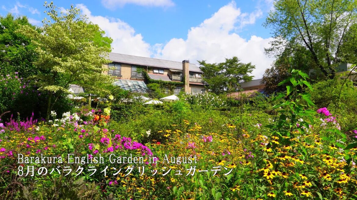 【Garden Tour】The Barakura English Garden is in full swing with flowers in August!