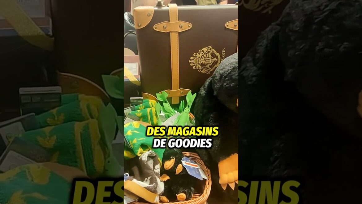 Tokyo incontournable decouvrez Minato-ku du marché de poisson au quartier Harry Potter ! #Short Tokyo incontournable decouvrez Minato-ku du marché de poisson au quartier Harry Potter ! #Short