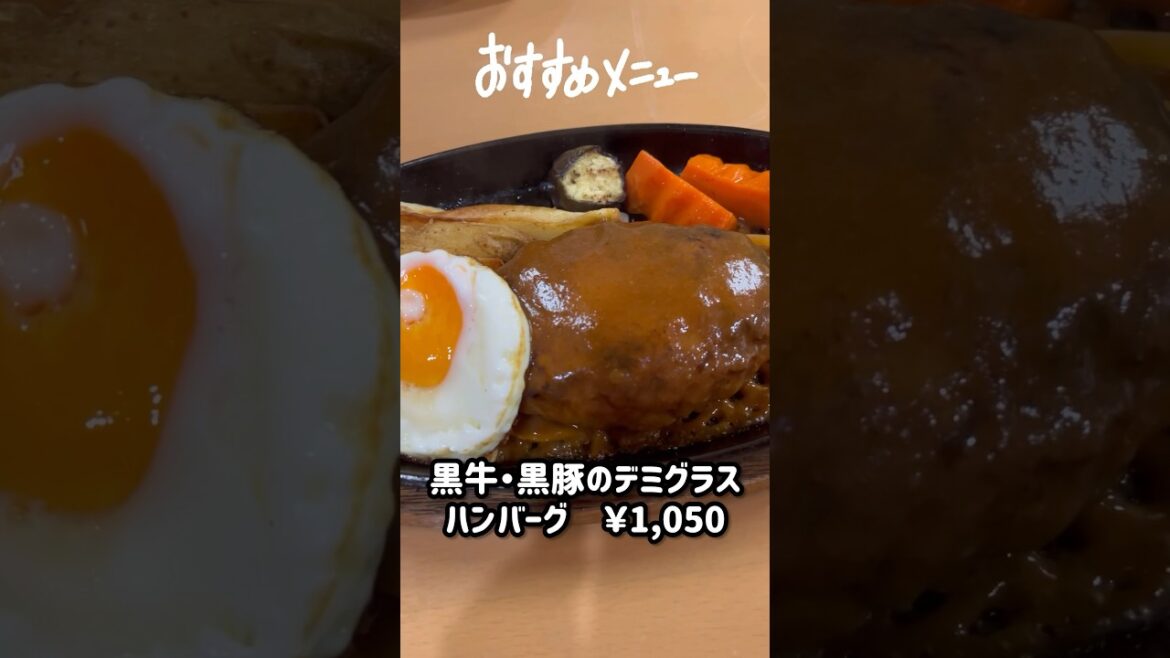 #山の麓のレストランふれんず #japan #일본 #日本 #kirishima #旅行 #travel #鹿児島 #ハンバーグ