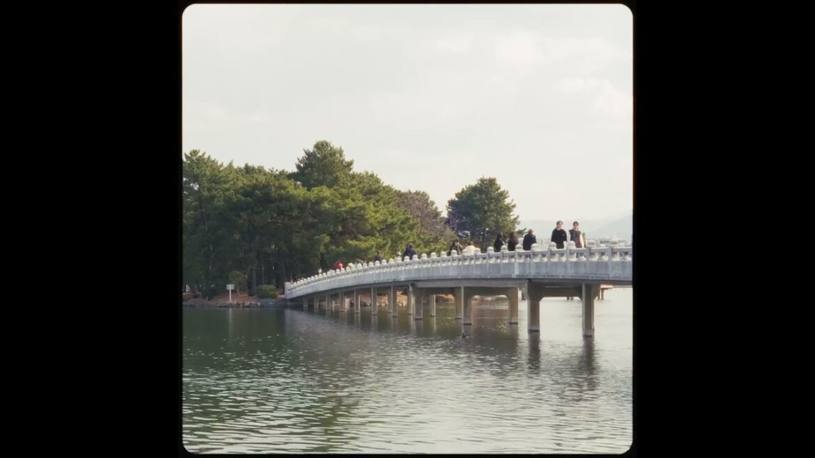 Ohori Park | Spring 2024