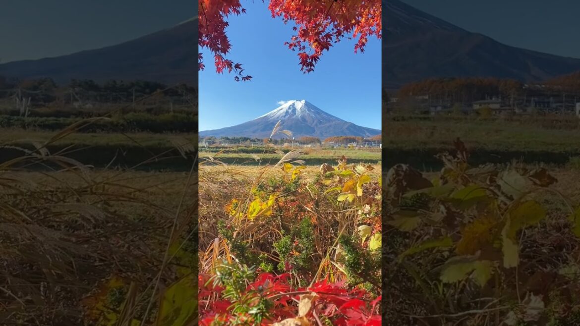 Mount Fuji Japan #beautifulnature #montefuji #japan #relaxingmusic