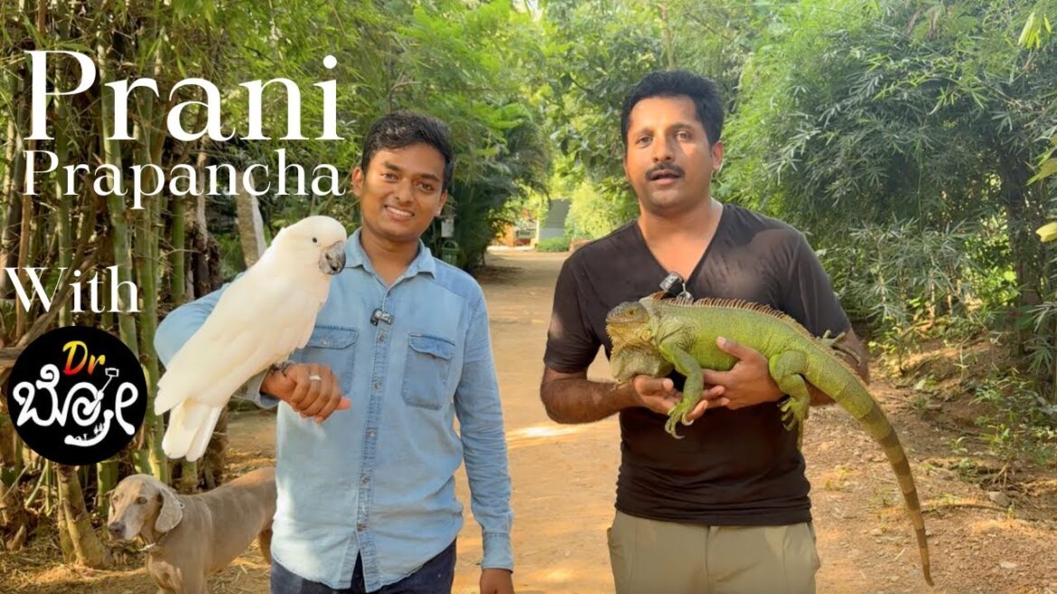 Exploring Prani with Dr.Bro: Bangalore’s Heartwarming Wildlife Haven| India 🇮🇳