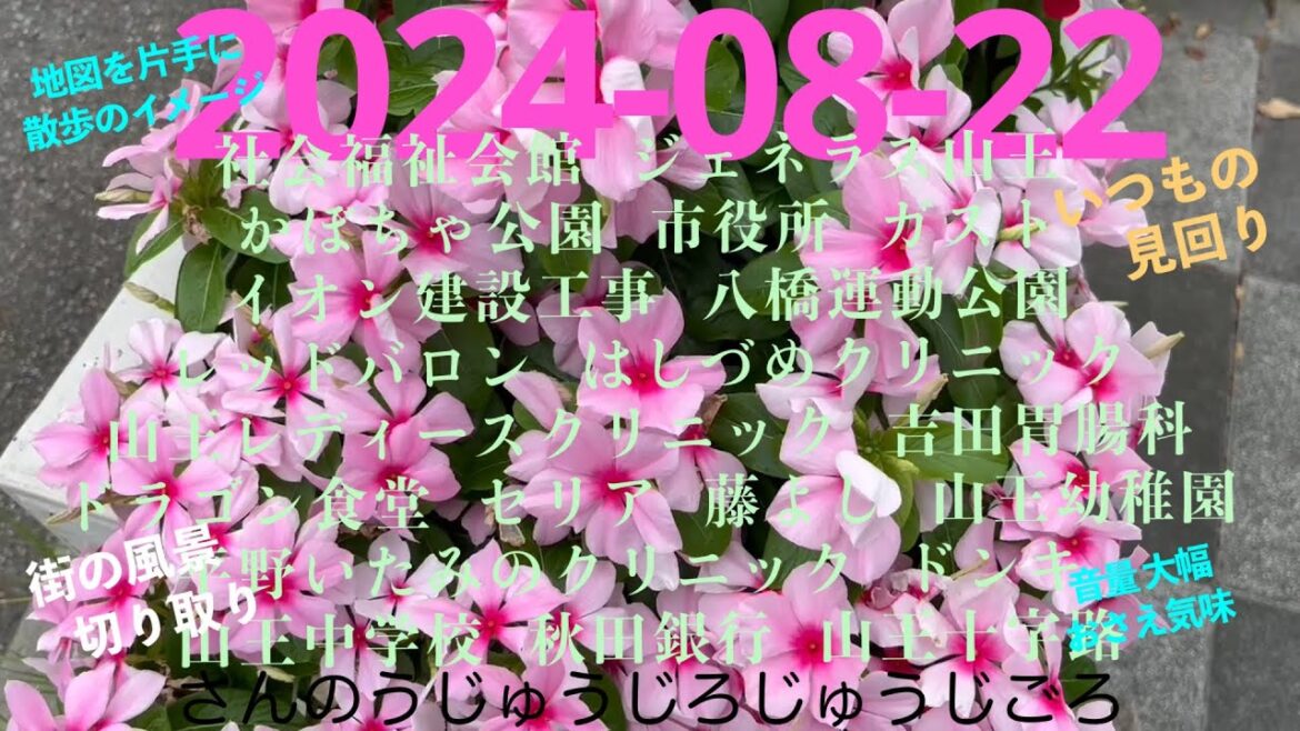 2024-08-22さんのうじゅうじろじゅうじごろ