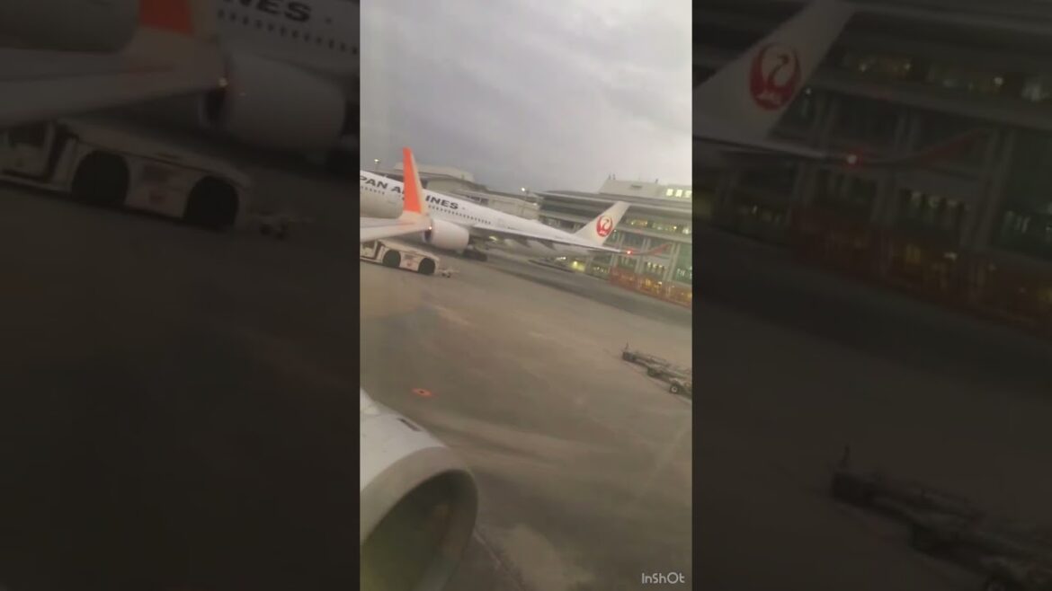 #Naha airport in Japan # Domestic Airport