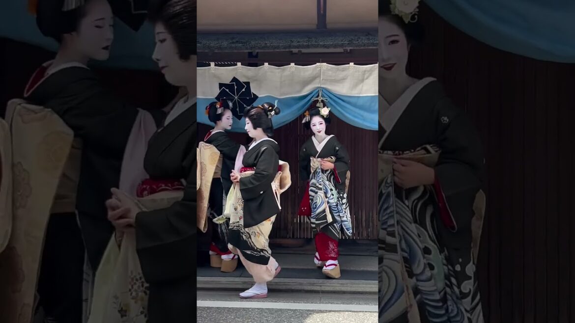 Discover Gion's Hassaku: The Hidden Gem of Kyoto #japan #travel #kyoto #geisha
