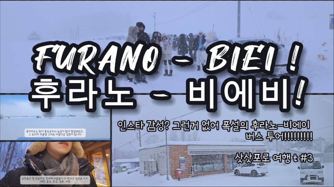 인스타 감성? 그런거 없어, 폭설의 비에이(biei)-후라노(furano)|나 홀로 버스 투어| 귀국후 정아로 홍대 공연까지! 인스타 감성? 그런거 없어, 폭설의 비에이(biei)-후라노(furano)|나 홀로 버스 투어| 귀국후 정아로 홍대 공연까지!