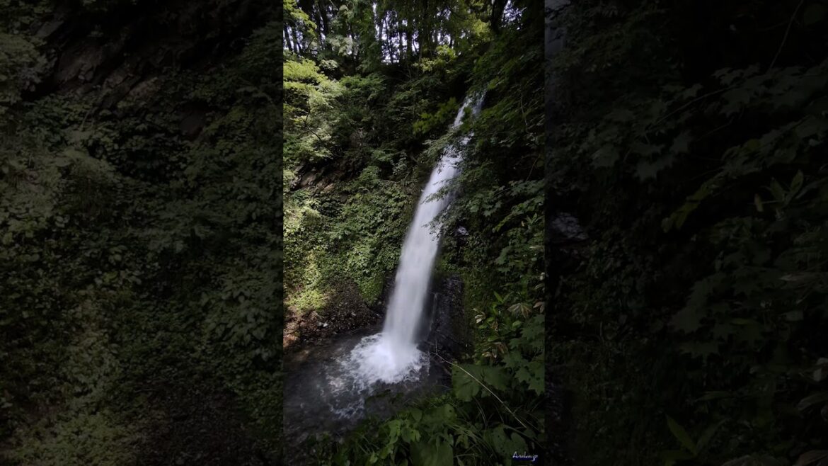 2024.07 Fudou-taki waterfall @ Higashi-Naruse