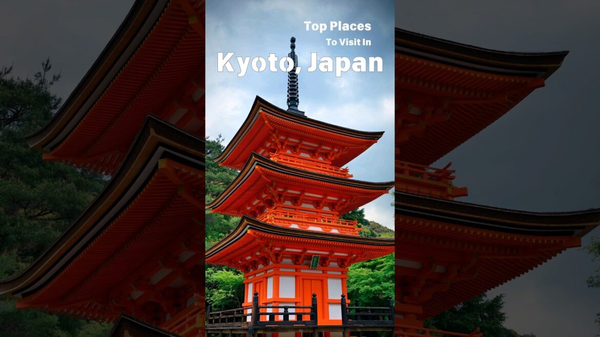 Discover the Timeless Beauty of Kyoto, Japan! 🎎🌸 #shorts  #travel #kyoto