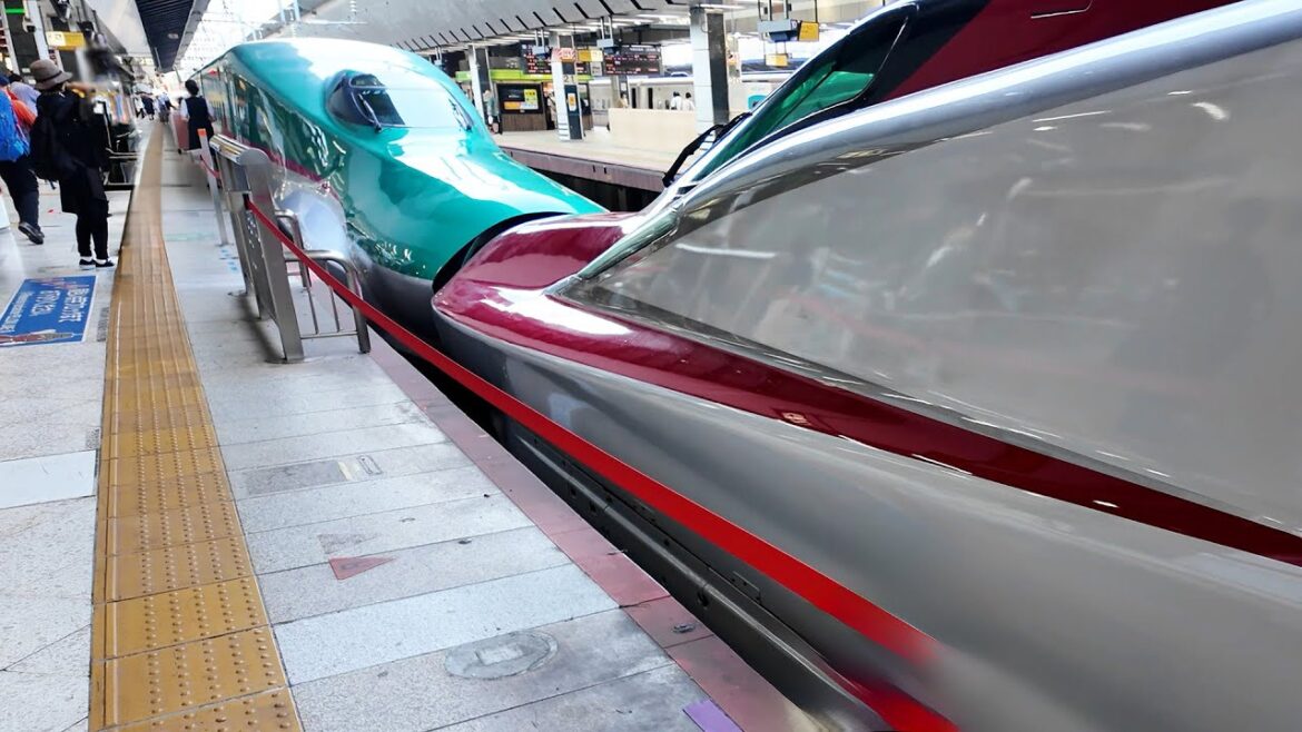 Tohoku Shinkansen, Ferry, and Shared Car in One Day | From Tokyo to Hakodate