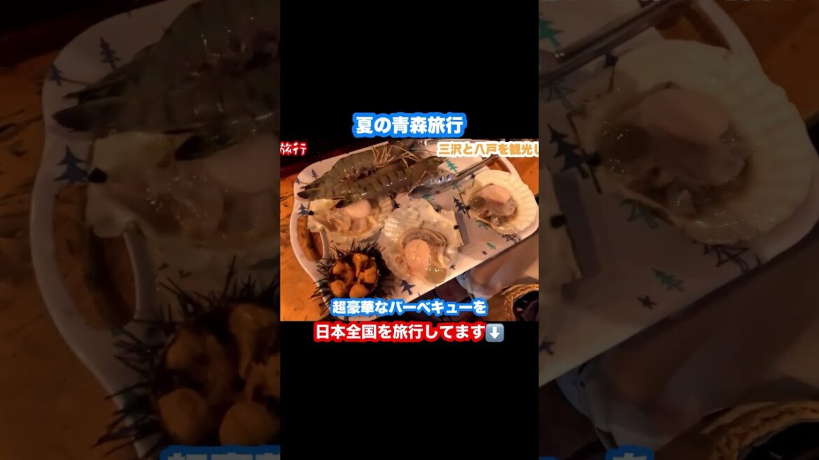 【青森旅行】三沢と八戸を観光しました！ #旅行vlog #青森観光 #八戸観光