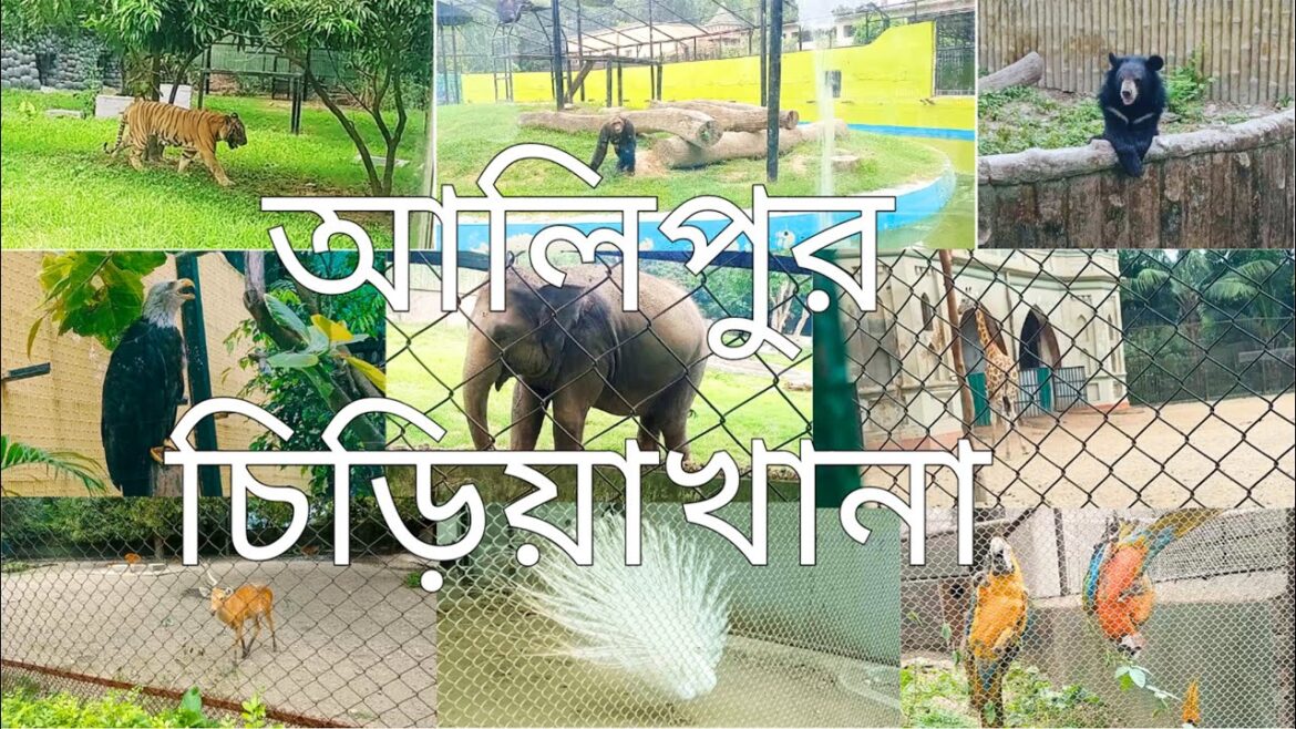 Alipore Zoological Garden Kolkata Zoo