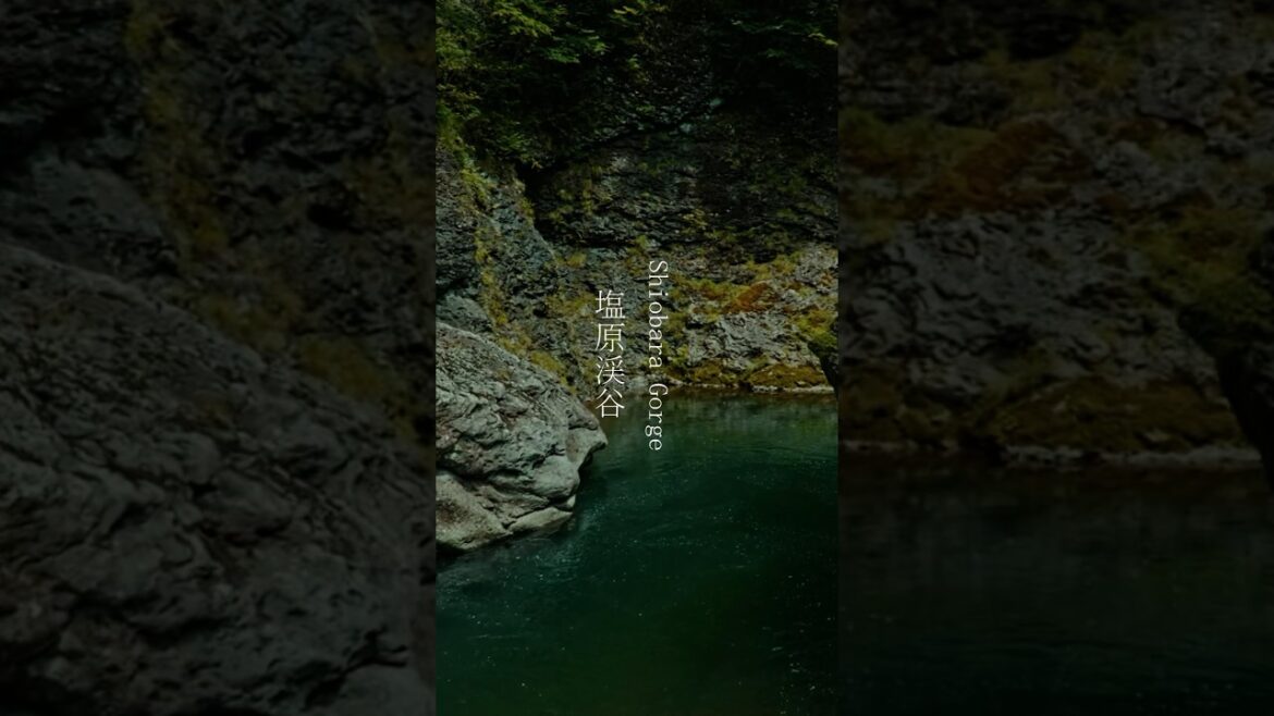 Nikko Tour: Inspiring Nature and Experiences: Nikko National Park, Japan Nikko Tour: Inspiring Nature and Experiences: Nikko National Park, Japan