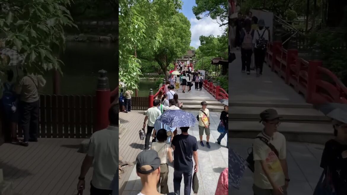 Nature abounds at the Dazaifu Tenmangu Shrine in Fukuoka Prefecture.