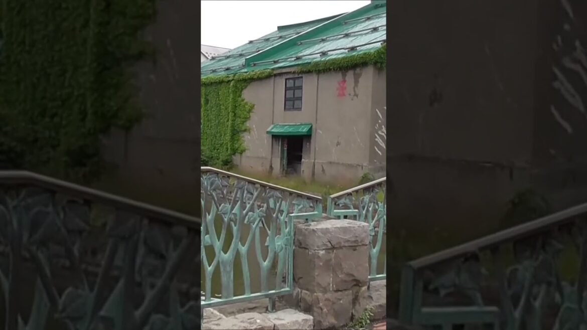 小樽運河　北海道　 #shorts   #hokkaido  #北海道 　#新日本海フェリー　#らいらっく　#すいせん　＃すずらん　＃はまなす　#otaru  #小樽　#小樽運河　＃Japan