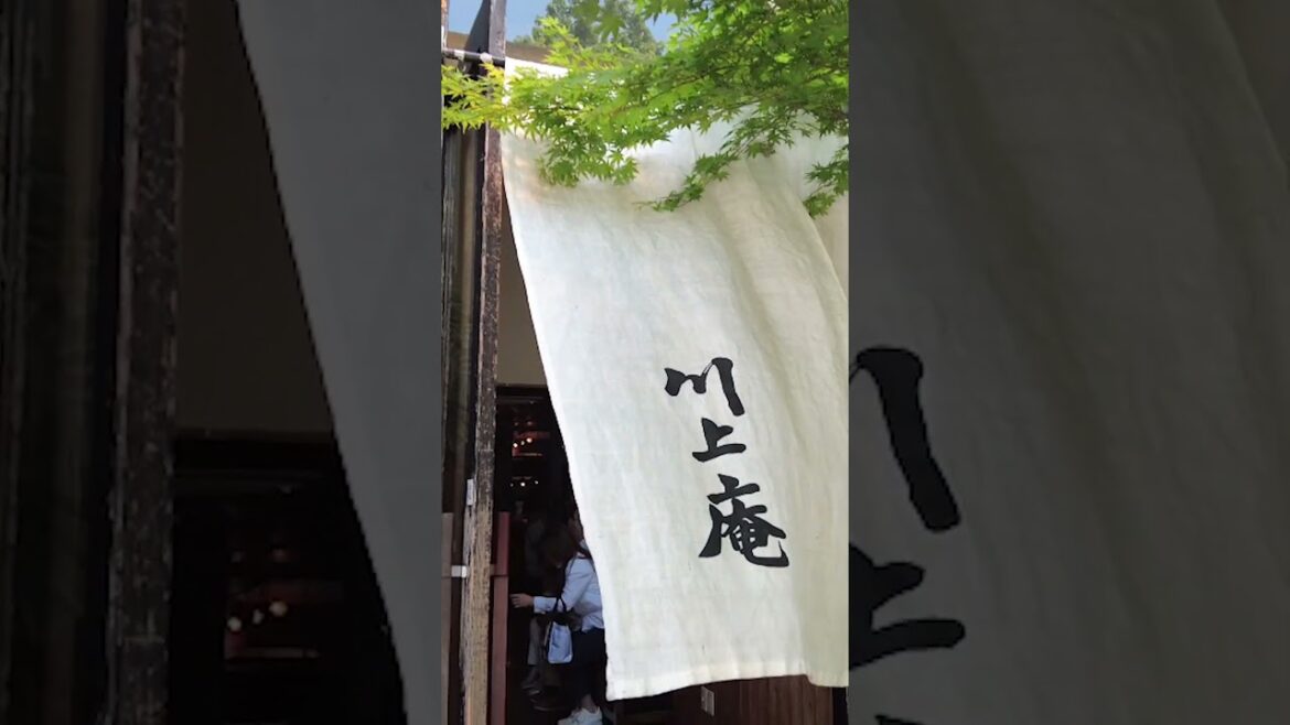 【軽井沢 川上庵本店】観光シーズンの土日であれば1時間以上待ちの行列も 【軽井沢 川上庵本店】観光シーズンの土日であれば1時間以上待ちの行列も