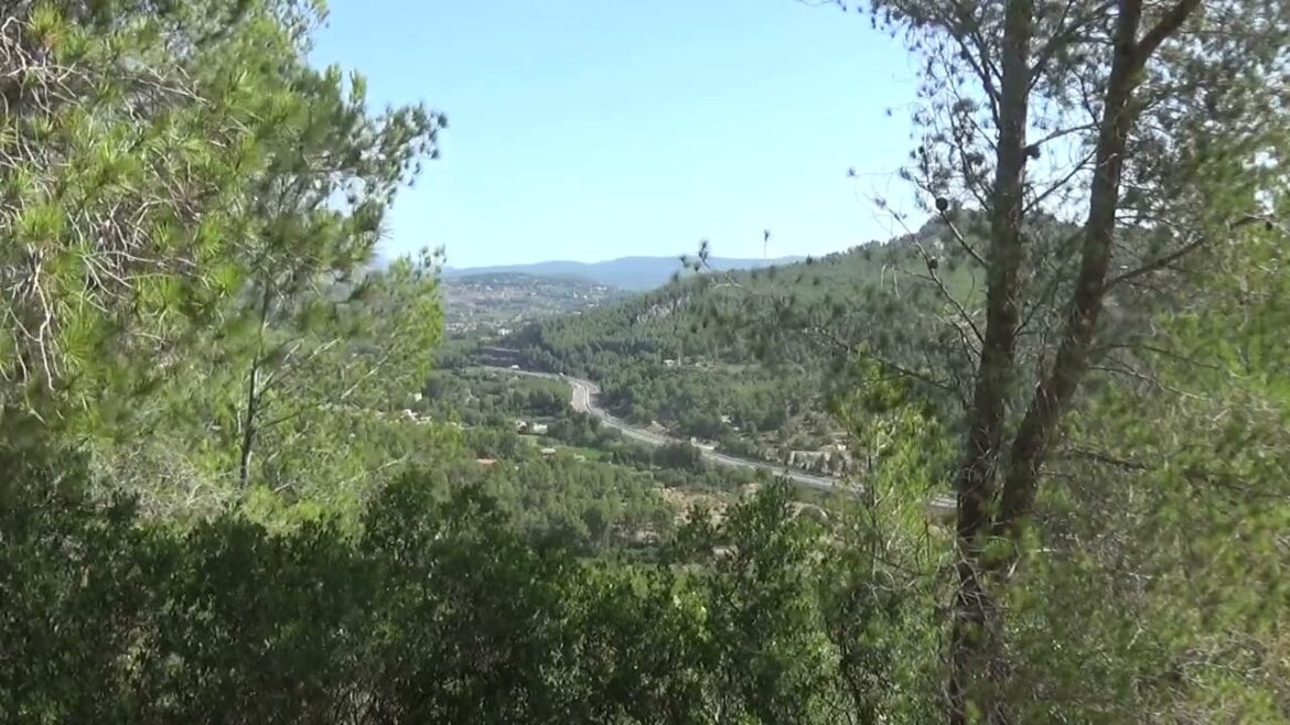 Vue de l'arrière pays du sud de la France, accompagné par le champ des cigales