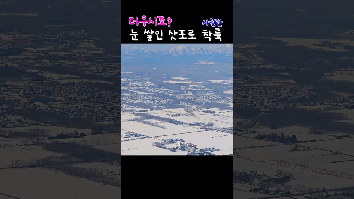 Landing in snowland #Sapporo