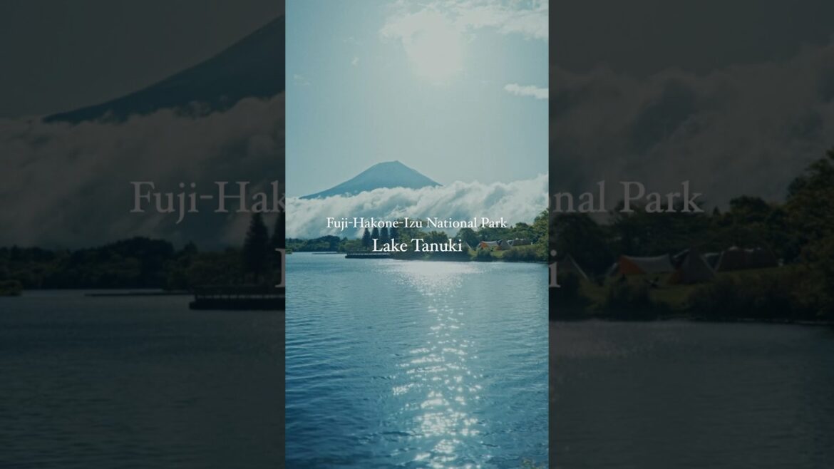 Fuji-Hakone-Izu National Park Lake Tanuki