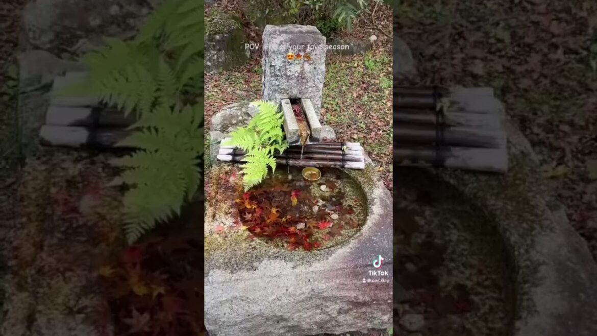 One Japan’s Famous Autumn Spot! 🍂🍁 #korankei #nagoya