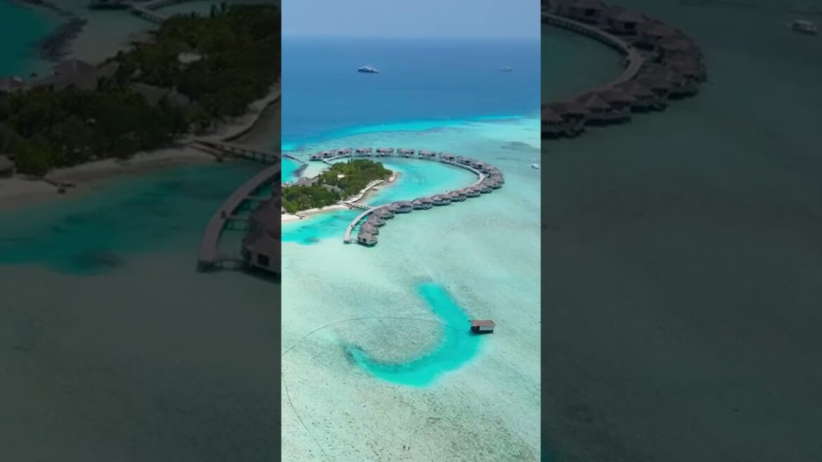 Top 15 Places to Visit in Asia | Travel Guide #travel #asia #explore Top 15 Places to Visit in Asia | Travel Guide #travel #asia #explore