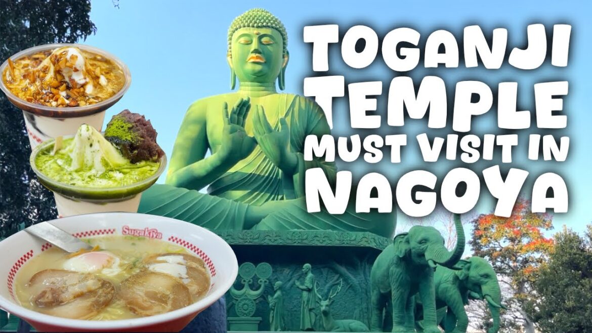 Winter in Nagoya ❄️ Toganji Temple Nagoya - Sugakiya