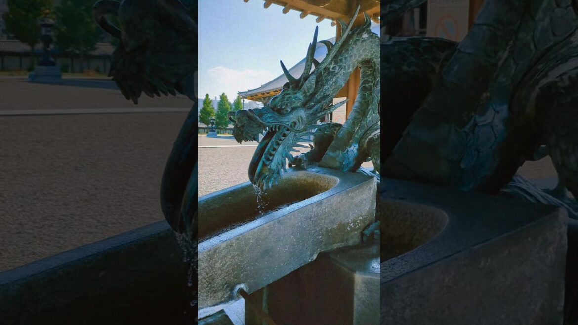 Bukko-ji temple Kyoto 🇯🇵 #japanshorts #kyotoshorts #kyoto #travelshorts #travel #bukkoji #temples