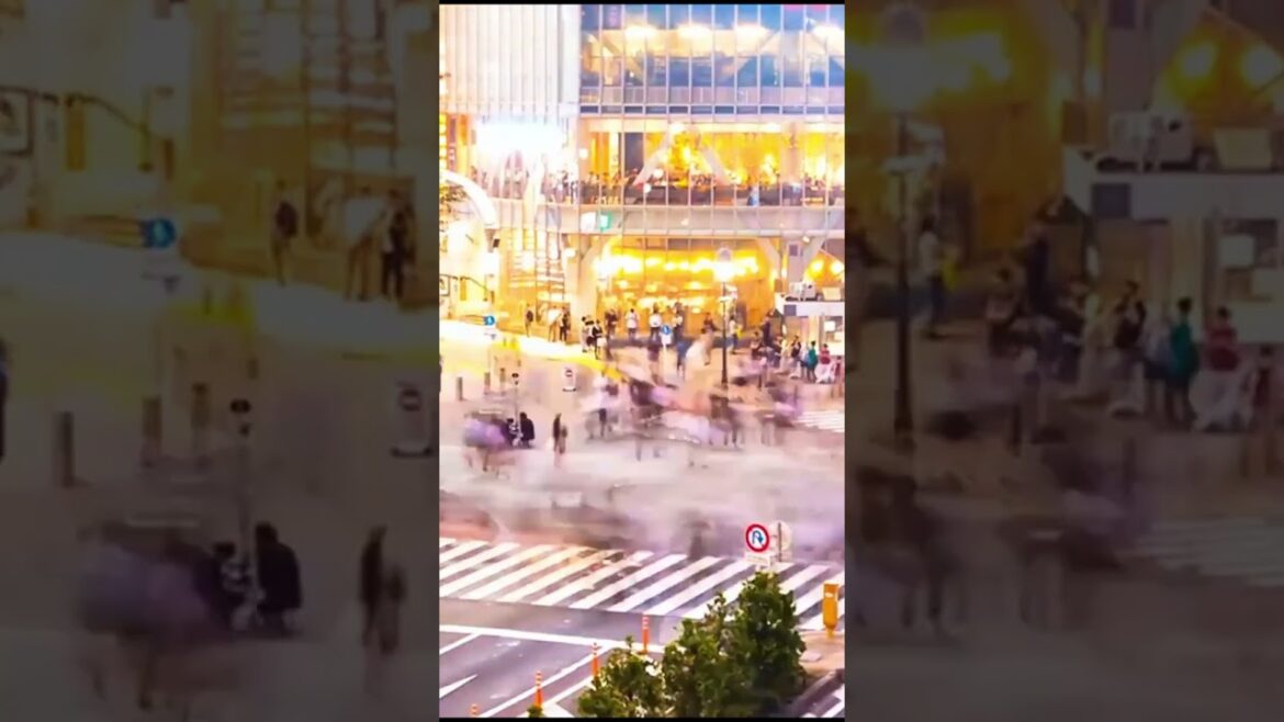 How Expensive is it to Travel Japan? Budget Breakdown!