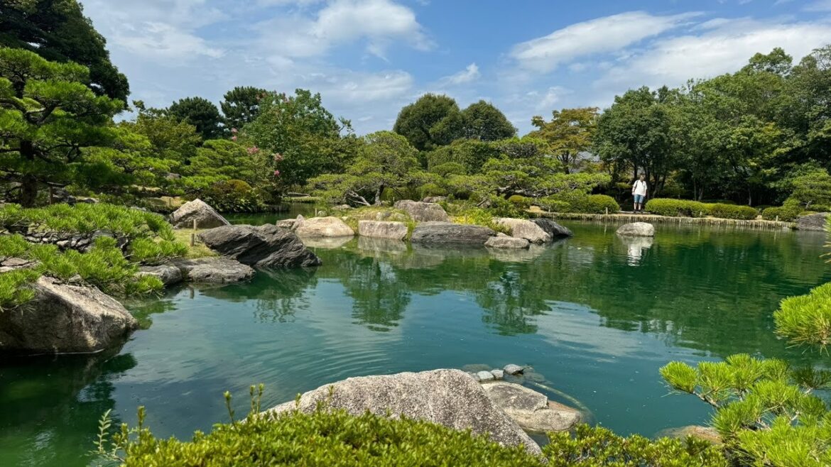 Japan Live🇯🇵Japanese Garden🇯🇵Fukuoka