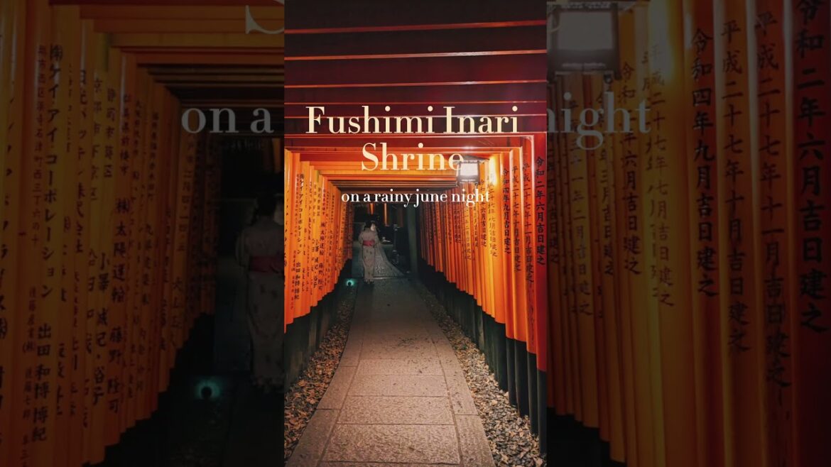 Kyoto Japan π―π΅ #fushimiinaritaisha #travel #japanshorts #travelshorts #fushimiinarishrine Kyoto Japan π―π΅ #fushimiinaritaisha #travel #japanshorts #travelshorts #fushimiinarishrine