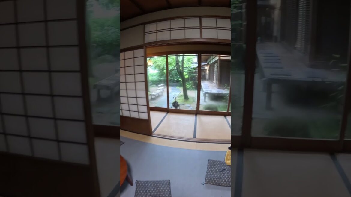 【KYOTO】Must-See Quiet Cafe - Nashinoki Cafe