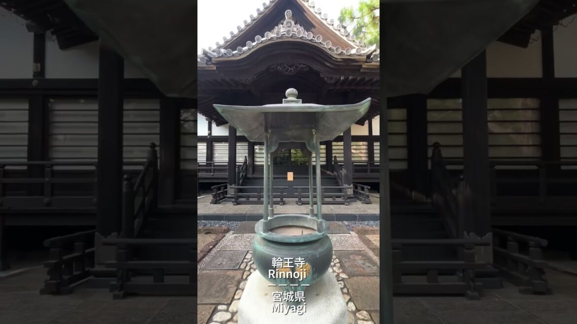 輪王寺　#shorts #japan #miyagi #sendai #観光 #旅行vlog #旅行
