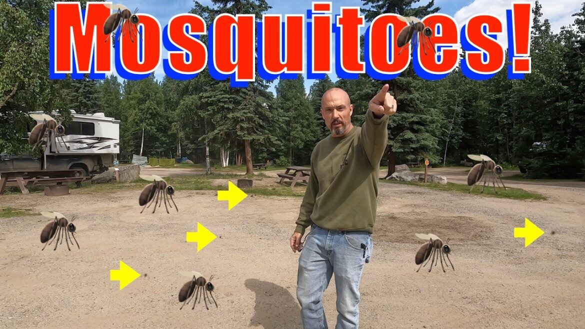 Chena AK Cool Off In The Ice Museum And Warm Up In The Hot Springs Chena AK Cool Off In The Ice Museum And Warm Up In The Hot Springs