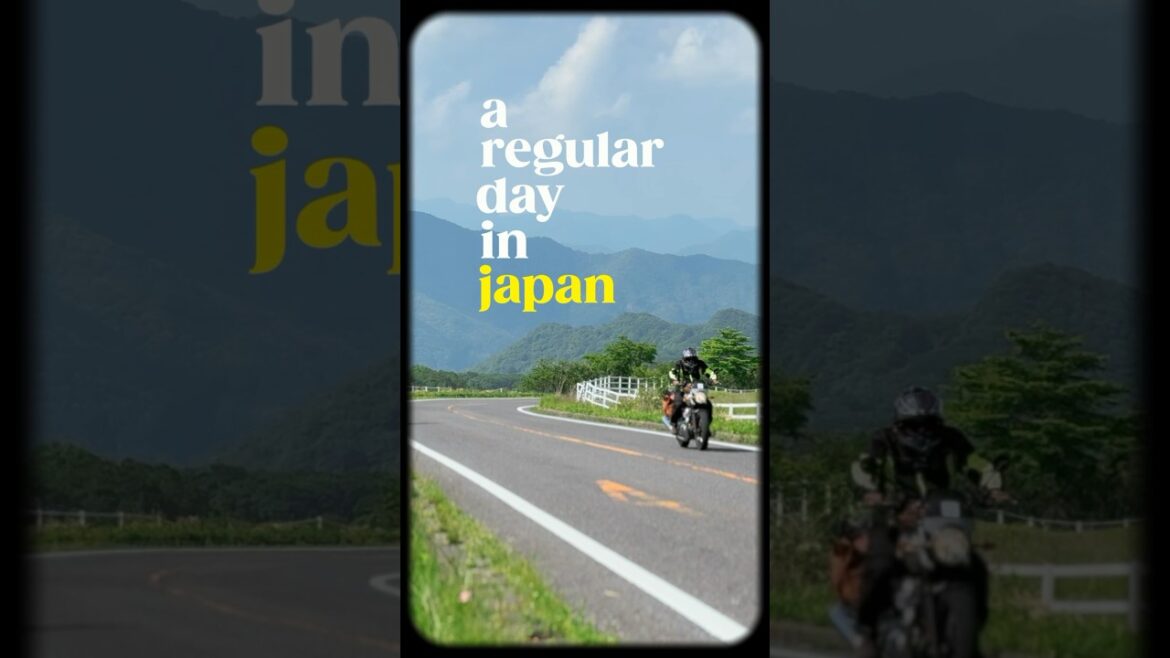 #07 A Day in Life on my Japan Roadtrip #shorts #interceptor