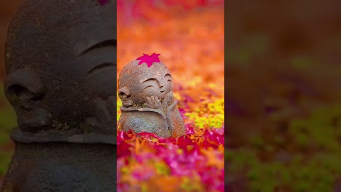 Autumn in Japan A colorful journey through the season #travel Autumn in Japan A colorful journey through the season #travel